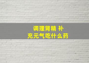 调理肾精 补充元气吃什么药